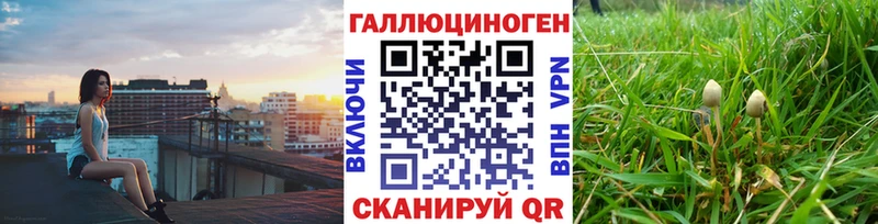 Псилоцибиновые грибы мухоморы  Новотроицк 