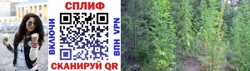 Конопля Ganja  купить наркоту  Новотроицк 
